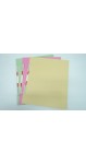 PAPER SPRING FILE